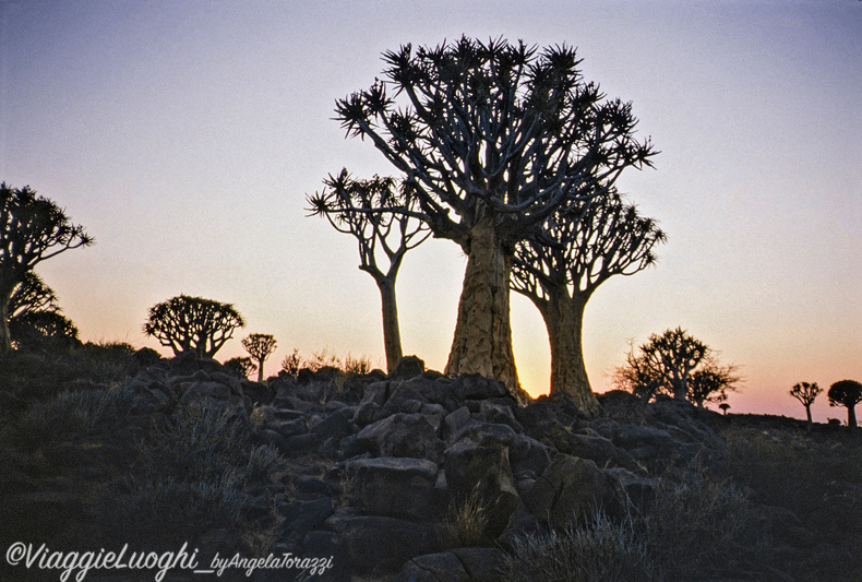 Namibia 88 (56)