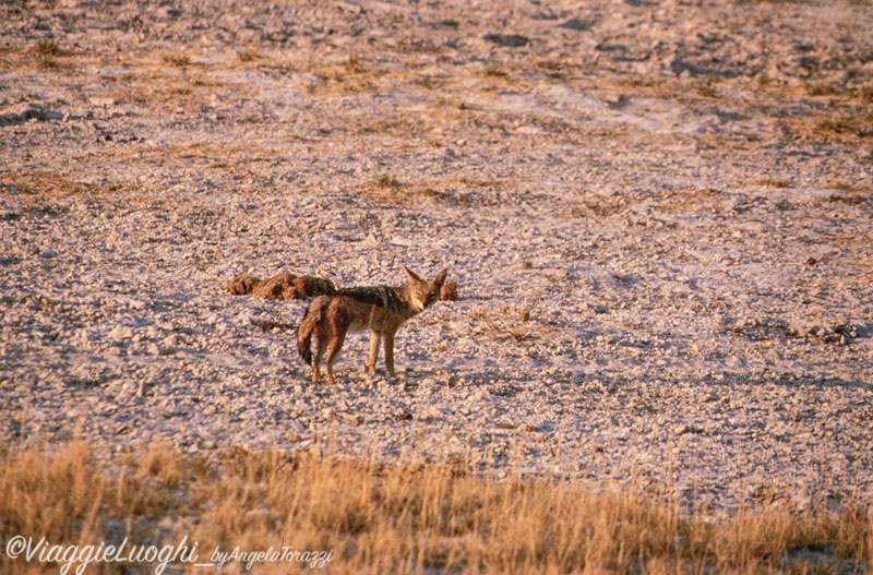 Namibia 88 87b