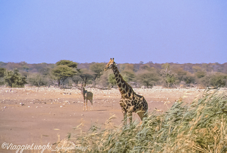 Namibia 88 92b