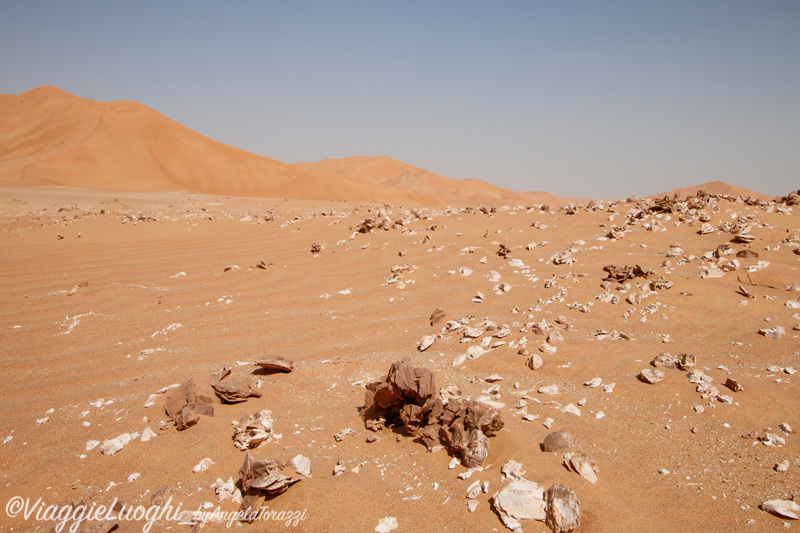 Oman Sep 2016 -427 Rub al Khali