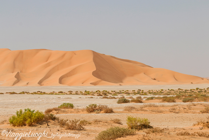 Oman Sep 2016 -563 Rub al Khali