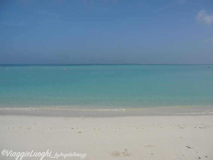 Turks & Caicos Parrot Cay June 2012 005