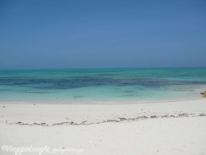 Turks & Caicos Parrot Cay June 2012 043