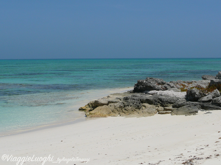 Turks & Caicos Parrot Cay June 2012 045