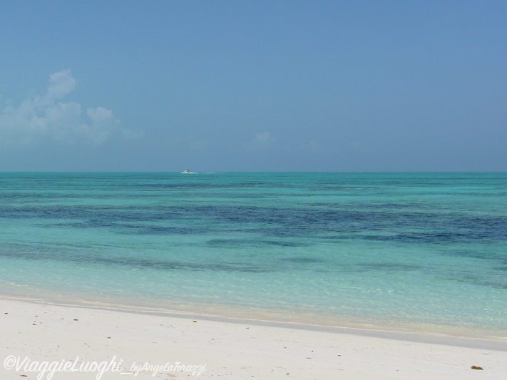 Turks & Caicos Parrot Cay June 2012 047