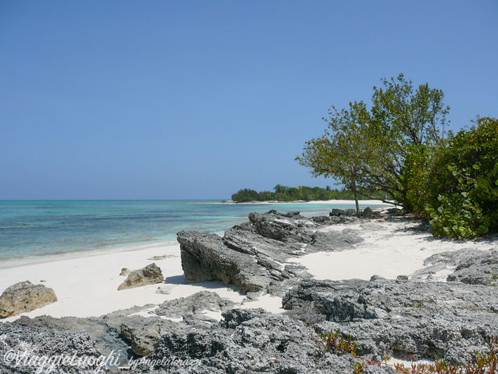 Turks & Caicos Parrot Cay June 2012 050