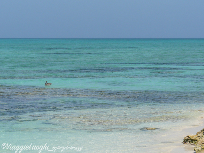 Turks & Caicos Parrot Cay June 2012 055