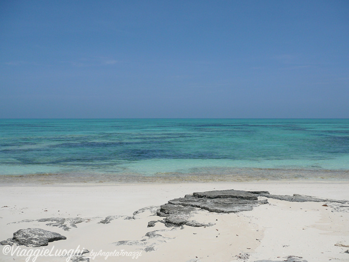 Turks & Caicos Parrot Cay June 2012 072