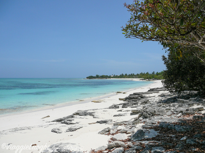 Turks & Caicos Parrot Cay June 2012 073