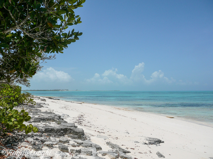 Turks & Caicos Parrot Cay June 2012 074