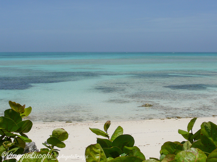 Turks & Caicos Parrot Cay June 2012 097