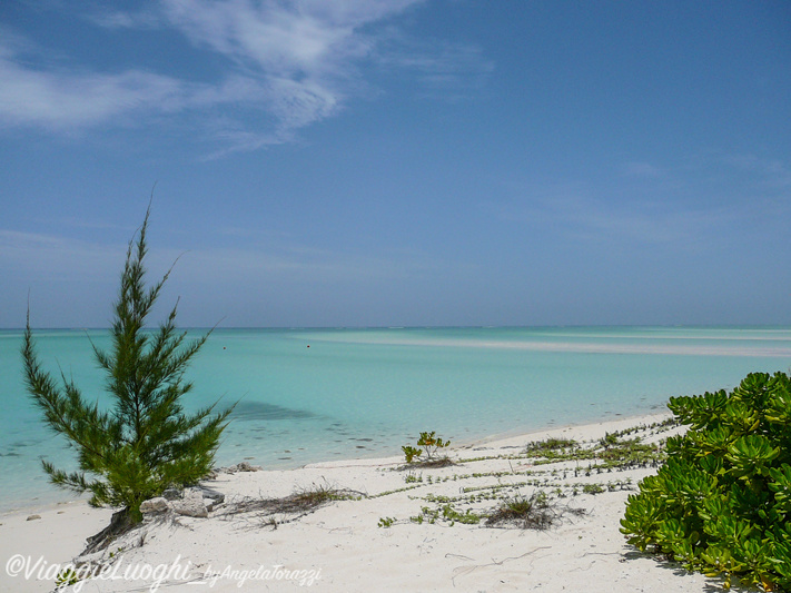 Turks & Caicos Parrot Cay June 2012 115