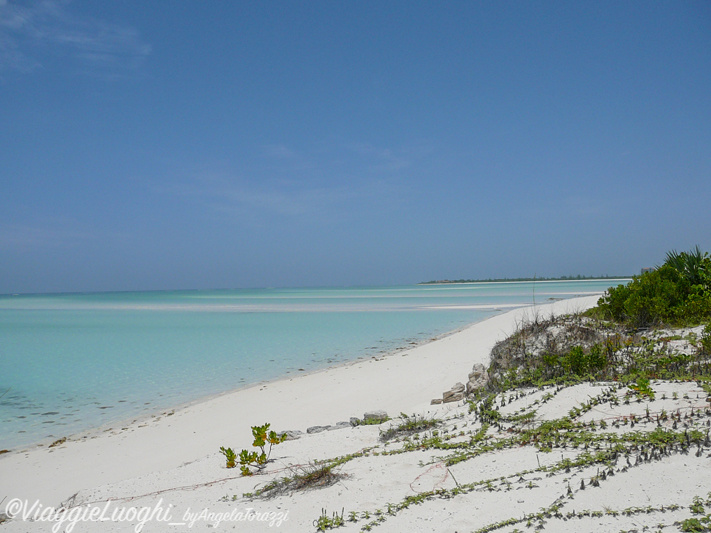 Turks & Caicos Parrot Cay June 2012 116