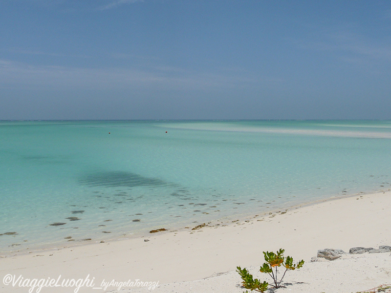 Turks & Caicos Parrot Cay June 2012 118r