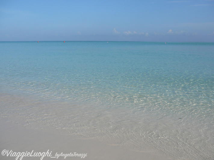 Turks & Caicos Parrot Cay June 2012 171