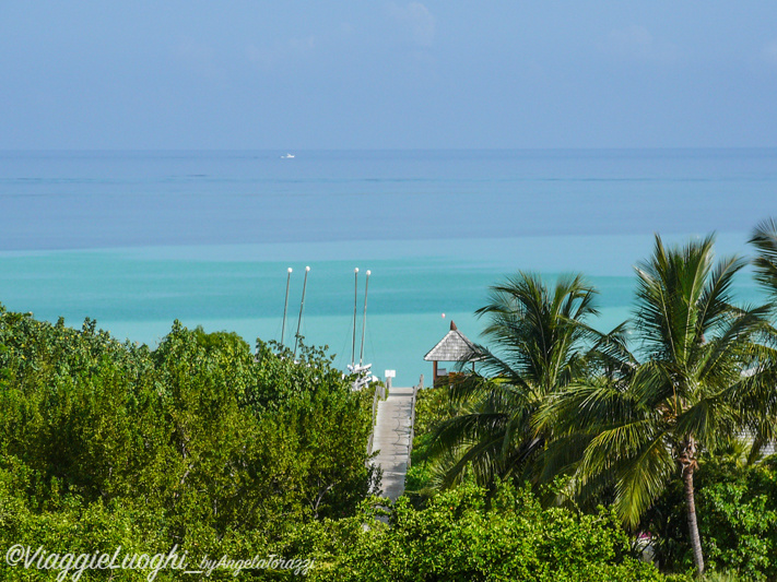 Turks & Caicos Parrot Cay June 2012 176