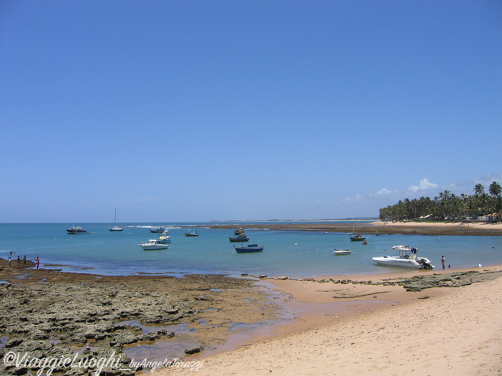 BRASILE Praia do Forte 3