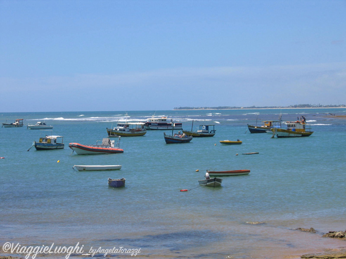 BRASILE Praia do Forte 3d