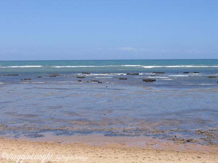 BRASILE Praia do Forte 4