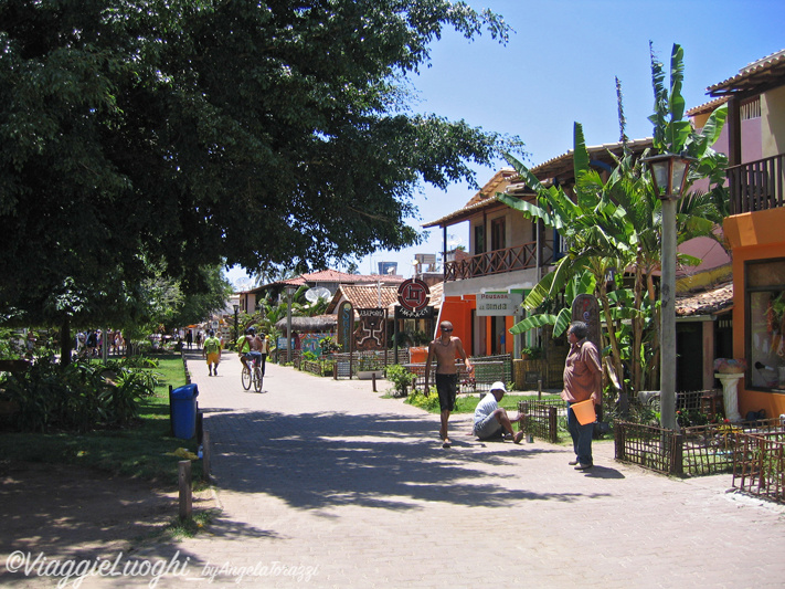 BRASILE Praia do Forte 5