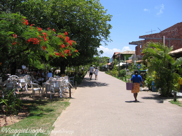 BRASILE Praia do Forte 6