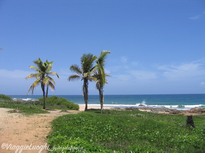 BRASILE Praia do Forte 7