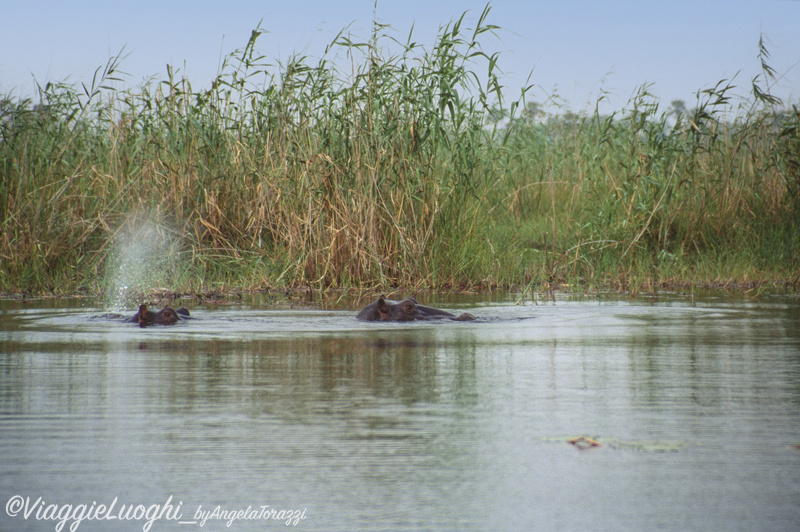 Botswana Delta 3