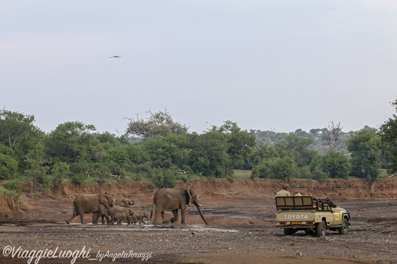 Botswana Mashatu 15