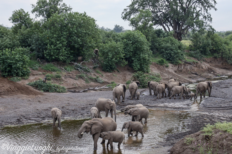 Botswana Mashatu 17