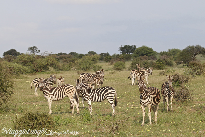 Botswana Mashatu 23