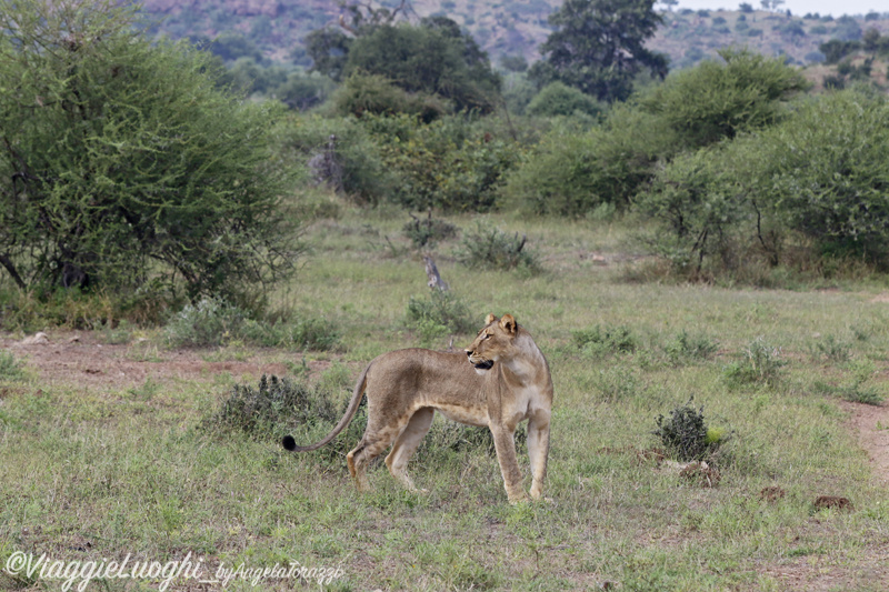 Botswana Mashatu 27