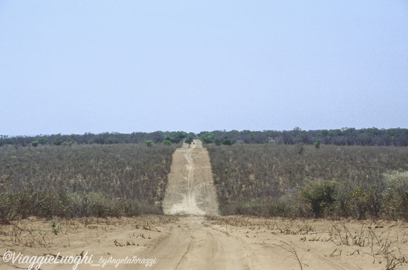 Botswana t Kavimba