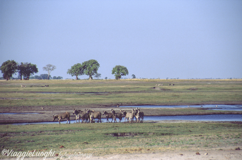 Botswana u Chobe 2