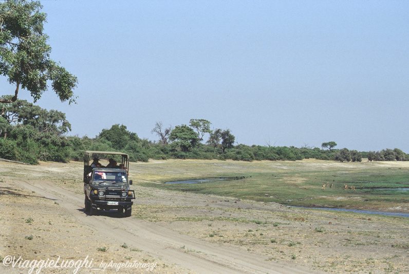 Botswana u Chobe 5