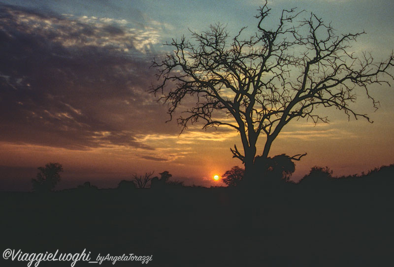 Botswana-u-Chobe(68b)