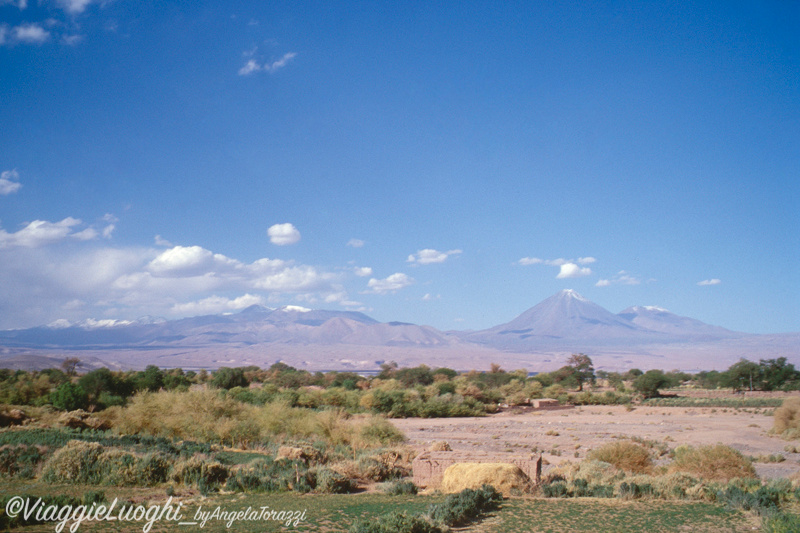 Cile Nord, Atacama 11