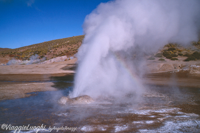 Cile Nord, Atacama 19