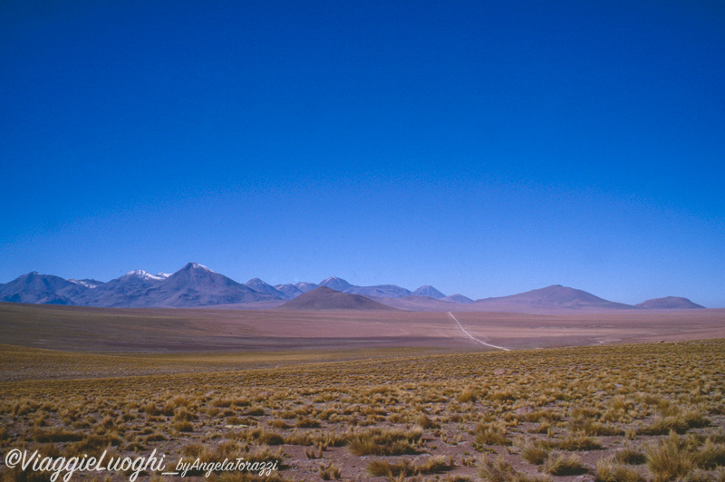 Cile Nord, Atacama 20