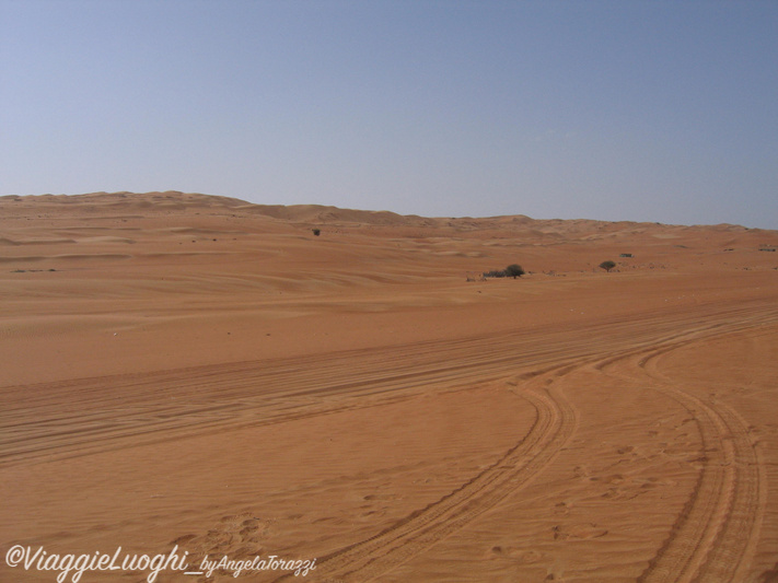 Oman 023 Wahiba Sand