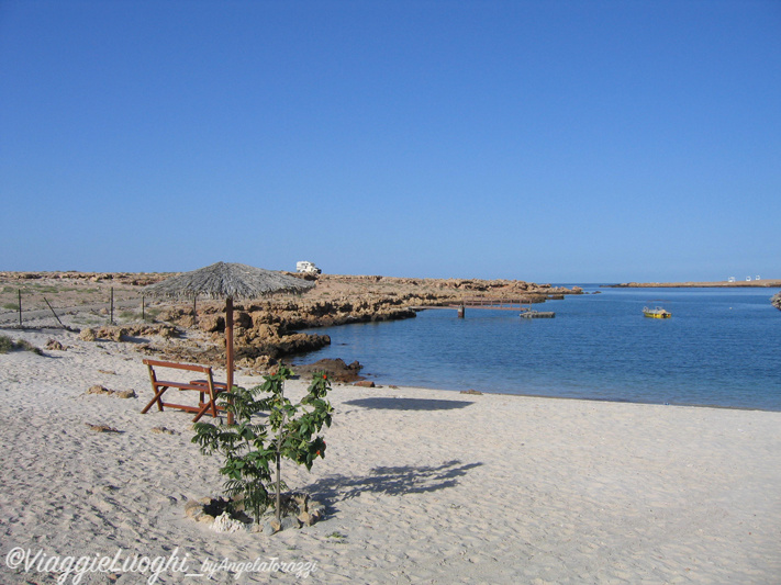 Oman 67 Turtle Beach