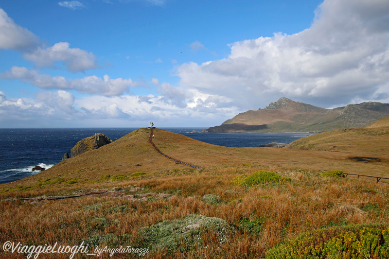 Patagonia Dec 2019 -1253Cape Horn