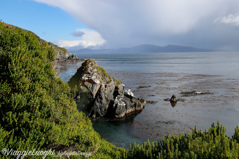 Patagonia Dec 2019 -1285Cape Horn