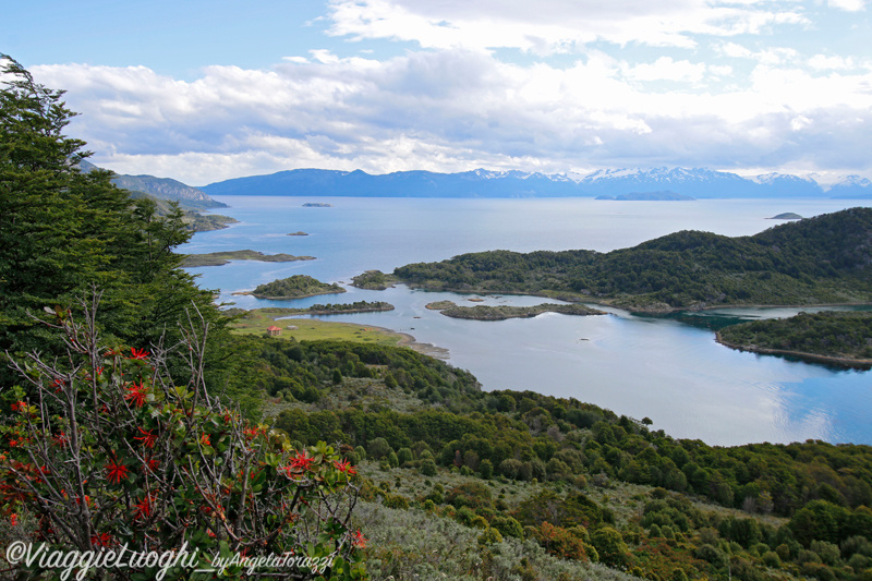 Patagonia Dec 2019 -1333Wulaia