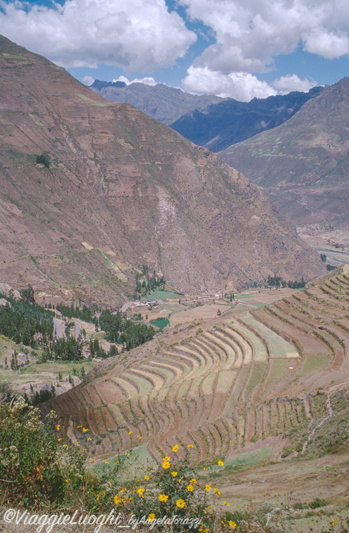 Peru’ 5 Valle Sacra (17)pisac