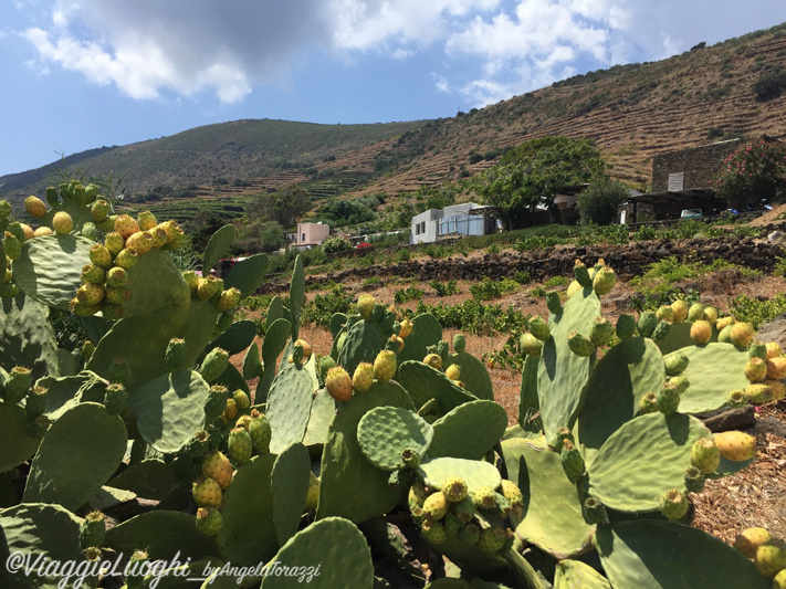 Pantelleria Aug 2020 -205