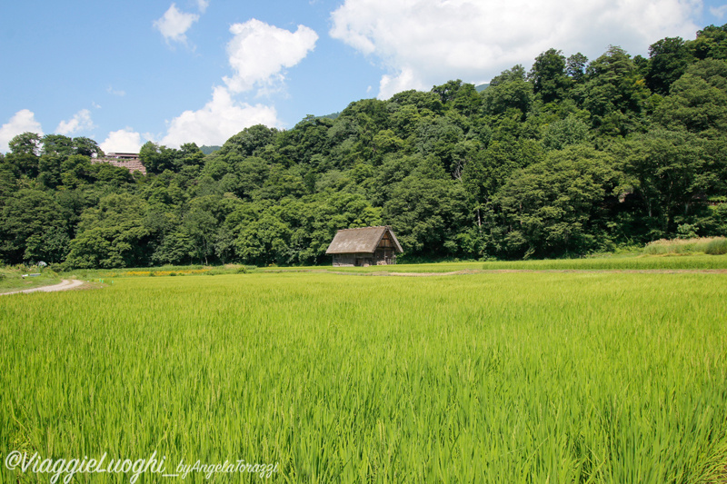 Giappone Aug 2019-1791Shirakawago