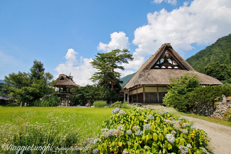 Giappone Aug 2019-1859 Shirakawago