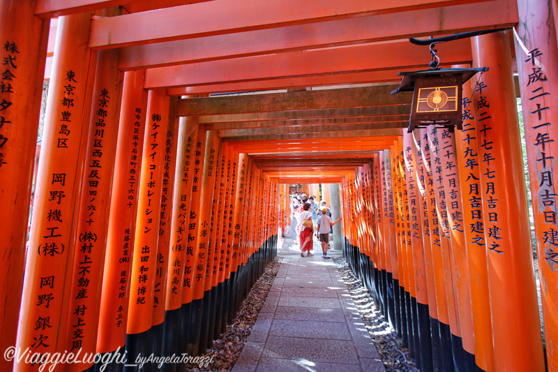 Giappone Aug 2019-2981x(2334b)Fushimi Inari