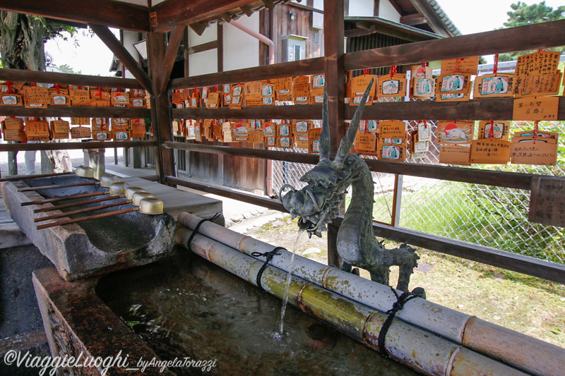 Giappone Aug 2019-3093 Nara Nara