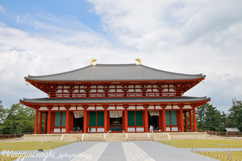 Giappone Aug 2019-3135 Nara